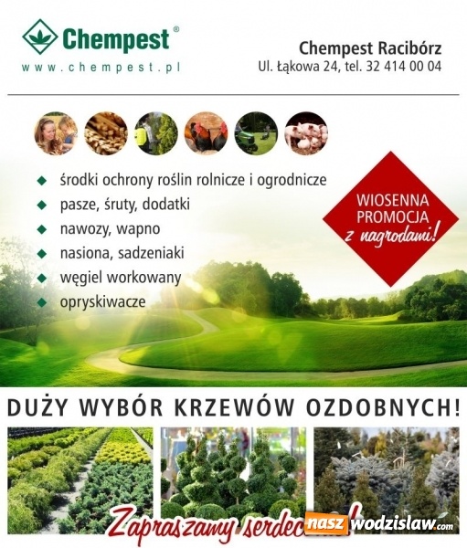 Zdjęcie w galerii na portalu naszwodzislaw.com: Czas na odświeżenie - przygotuj dom i ogród na wiosnę wiadomości z regionu