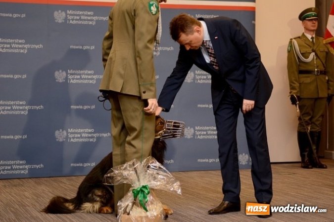 Zdjęcie w galerii na portalu naszwodzislaw.com: Bohaterowie czas&oacute;w pokoju. Wodzisławscy policjanci nagrodzeni przez szefa MSWiA wiadomości z regionu