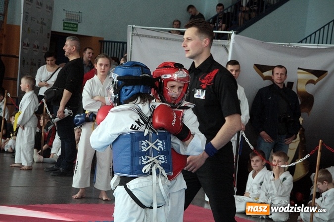 Zdjęcie w galerii na portalu naszwodzislaw.com: Radlin: niesamowite widowisko wschodnich sztuk walki  wiadomości z regionu