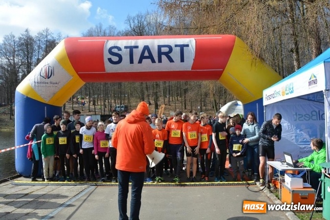 Zdjęcie w galerii na portalu naszwodzislaw.com: Błękitna Wstęga Balatonu. Wystartowało ponad 200 uczestników wiadomości z regionu