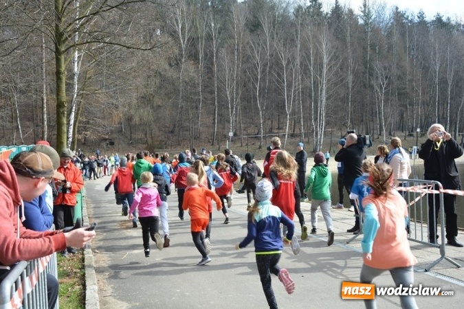 Zdjęcie w galerii na portalu naszwodzislaw.com: Błękitna Wstęga Balatonu. Wystartowało ponad 200 uczestników wiadomości z regionu