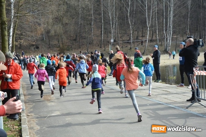 Zdjęcie w galerii na portalu naszwodzislaw.com: Błękitna Wstęga Balatonu. Wystartowało ponad 200 uczestników wiadomości z regionu
