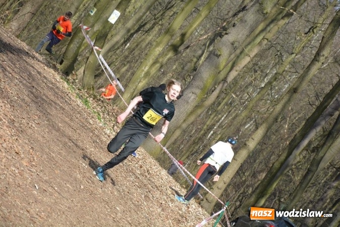 Zdjęcie w galerii na portalu naszwodzislaw.com: Błękitna Wstęga Balatonu. Wystartowało ponad 200 uczestników wiadomości z regionu