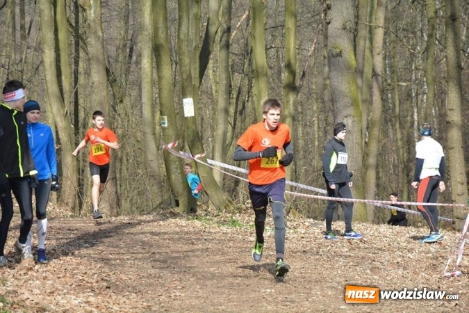 Zdjęcie w galerii na portalu naszwodzislaw.com: Błękitna Wstęga Balatonu. Wystartowało ponad 200 uczestników wiadomości z regionu