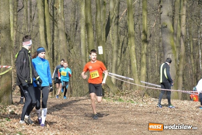 Zdjęcie w galerii na portalu naszwodzislaw.com: Błękitna Wstęga Balatonu. Wystartowało ponad 200 uczestników wiadomości z regionu