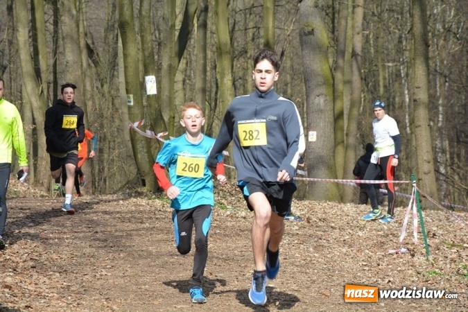 Zdjęcie w galerii na portalu naszwodzislaw.com: Błękitna Wstęga Balatonu. Wystartowało ponad 200 uczestników wiadomości z regionu