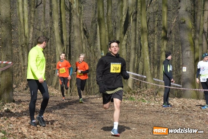 Zdjęcie w galerii na portalu naszwodzislaw.com: Błękitna Wstęga Balatonu. Wystartowało ponad 200 uczestników wiadomości z regionu