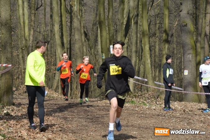 Zdjęcie w galerii na portalu naszwodzislaw.com: Błękitna Wstęga Balatonu. Wystartowało ponad 200 uczestników wiadomości z regionu