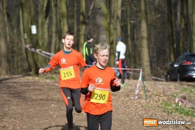 Zdjęcie w galerii na portalu naszwodzislaw.com: Błękitna Wstęga Balatonu. Wystartowało ponad 200 uczestników wiadomości z regionu