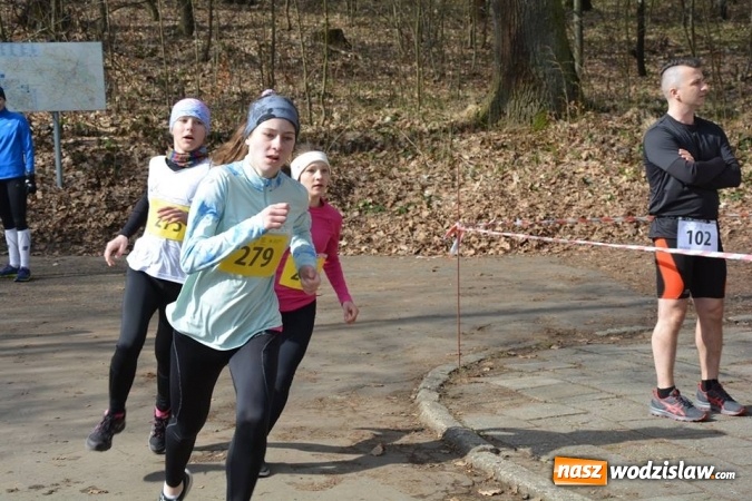 Zdjęcie w galerii na portalu naszwodzislaw.com: Błękitna Wstęga Balatonu. Wystartowało ponad 200 uczestników wiadomości z regionu