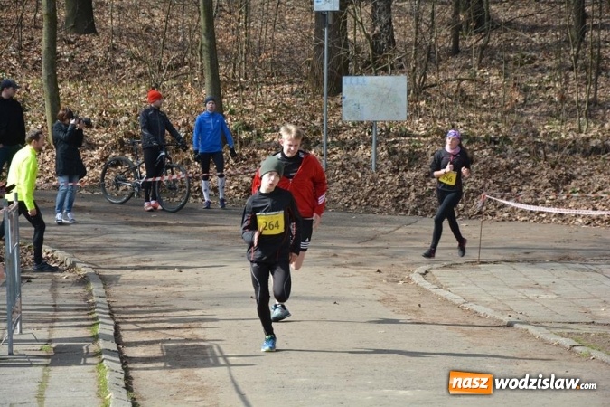 Zdjęcie w galerii na portalu naszwodzislaw.com: Błękitna Wstęga Balatonu. Wystartowało ponad 200 uczestników wiadomości z regionu