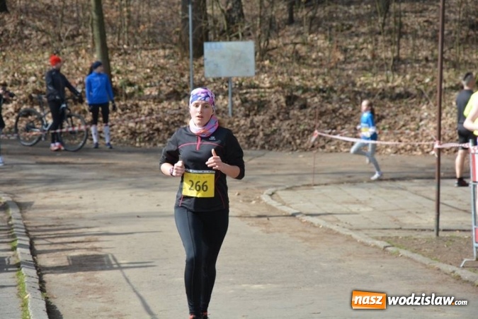 Zdjęcie w galerii na portalu naszwodzislaw.com: Błękitna Wstęga Balatonu. Wystartowało ponad 200 uczestników wiadomości z regionu