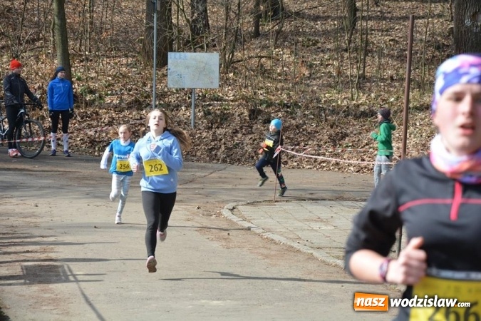 Zdjęcie w galerii na portalu naszwodzislaw.com: Błękitna Wstęga Balatonu. Wystartowało ponad 200 uczestników wiadomości z regionu