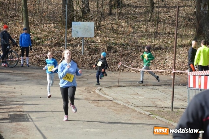 Zdjęcie w galerii na portalu naszwodzislaw.com: Błękitna Wstęga Balatonu. Wystartowało ponad 200 uczestników wiadomości z regionu
