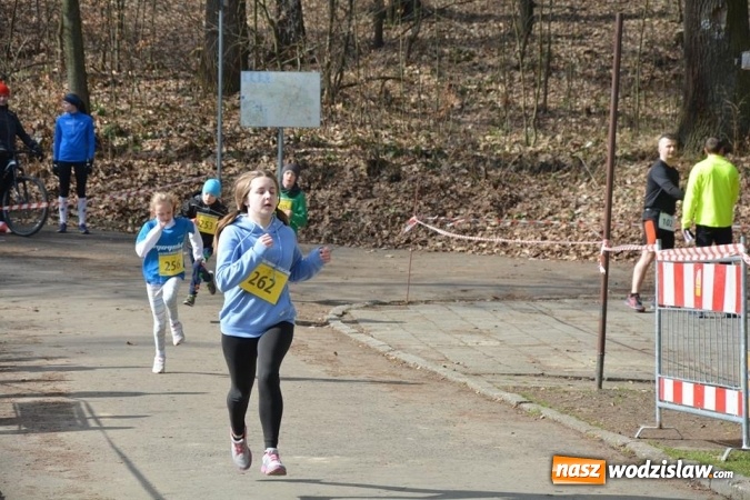 Zdjęcie w galerii na portalu naszwodzislaw.com: Błękitna Wstęga Balatonu. Wystartowało ponad 200 uczestników wiadomości z regionu