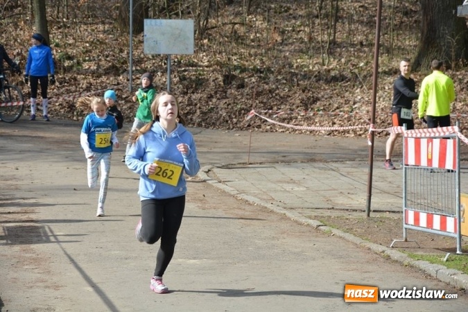 Zdjęcie w galerii na portalu naszwodzislaw.com: Błękitna Wstęga Balatonu. Wystartowało ponad 200 uczestników wiadomości z regionu