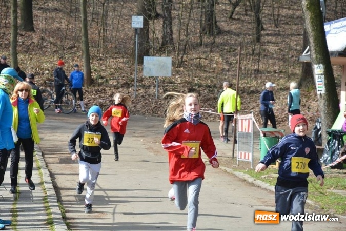 Zdjęcie w galerii na portalu naszwodzislaw.com: Błękitna Wstęga Balatonu. Wystartowało ponad 200 uczestników wiadomości z regionu