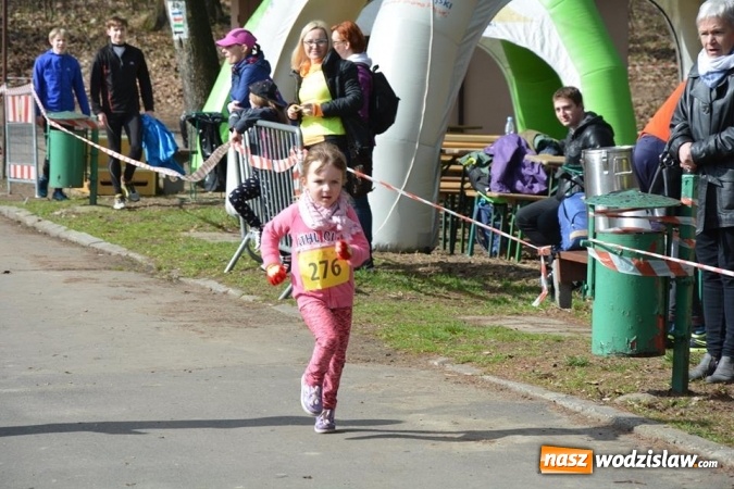Zdjęcie w galerii na portalu naszwodzislaw.com: Błękitna Wstęga Balatonu. Wystartowało ponad 200 uczestników wiadomości z regionu