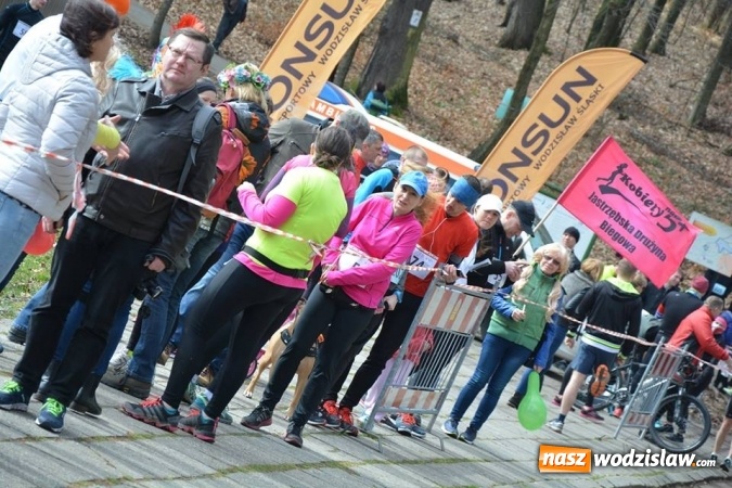 Zdjęcie w galerii na portalu naszwodzislaw.com: Błękitna Wstęga Balatonu. Wystartowało ponad 200 uczestników wiadomości z regionu