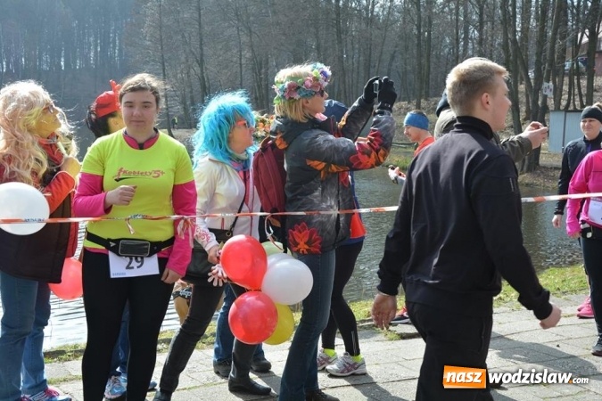 Zdjęcie w galerii na portalu naszwodzislaw.com: Błękitna Wstęga Balatonu. Wystartowało ponad 200 uczestników wiadomości z regionu