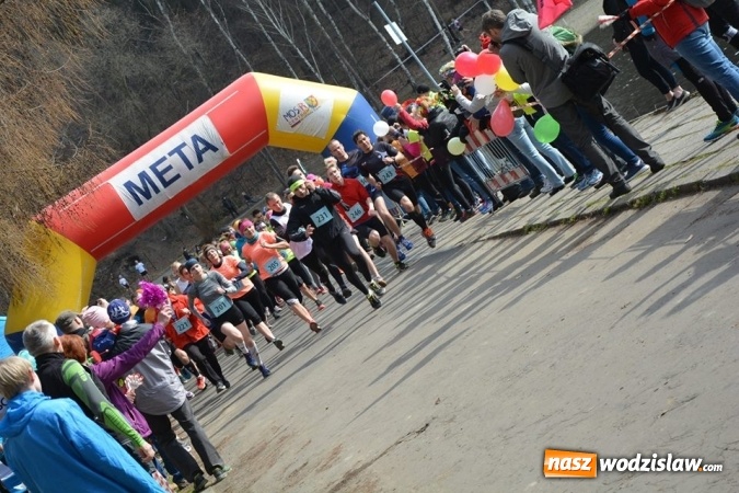 Zdjęcie w galerii na portalu naszwodzislaw.com: Błękitna Wstęga Balatonu. Wystartowało ponad 200 uczestników wiadomości z regionu