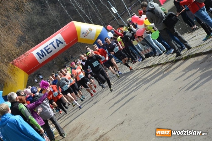 Zdjęcie w galerii na portalu naszwodzislaw.com: Błękitna Wstęga Balatonu. Wystartowało ponad 200 uczestników wiadomości z regionu