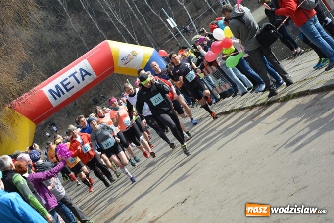 Zdjęcie w galerii na portalu naszwodzislaw.com: Błękitna Wstęga Balatonu. Wystartowało ponad 200 uczestników wiadomości z regionu