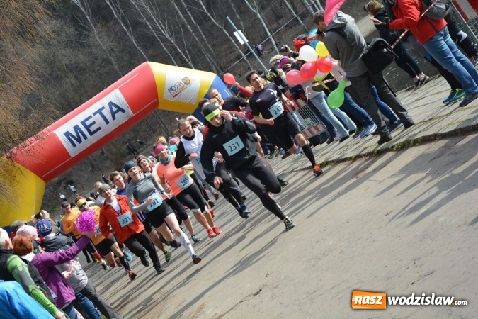 Zdjęcie w galerii na portalu naszwodzislaw.com: Błękitna Wstęga Balatonu. Wystartowało ponad 200 uczestników wiadomości z regionu