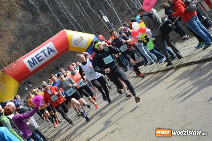 Zdjęcie w galerii na portalu naszwodzislaw.com: Błękitna Wstęga Balatonu. Wystartowało ponad 200 uczestników wiadomości z regionu