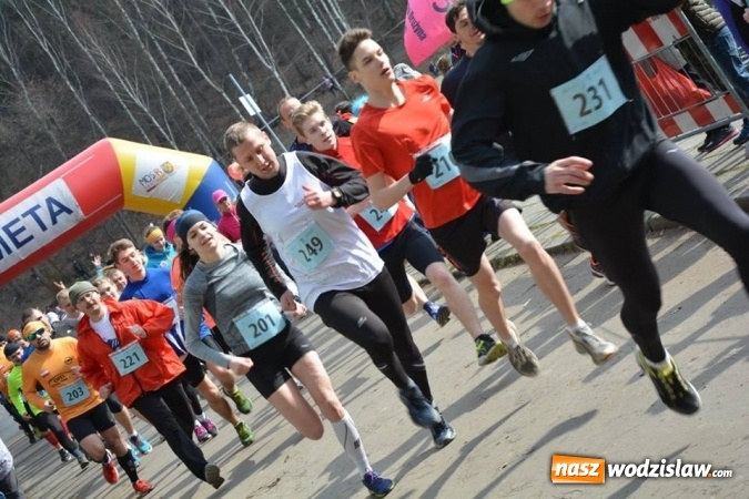 Zdjęcie w galerii na portalu naszwodzislaw.com: Błękitna Wstęga Balatonu. Wystartowało ponad 200 uczestników wiadomości z regionu