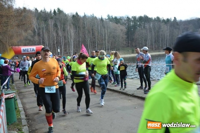 Zdjęcie w galerii na portalu naszwodzislaw.com: Błękitna Wstęga Balatonu. Wystartowało ponad 200 uczestników wiadomości z regionu