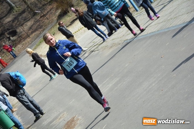 Zdjęcie w galerii na portalu naszwodzislaw.com: Błękitna Wstęga Balatonu. Wystartowało ponad 200 uczestników wiadomości z regionu