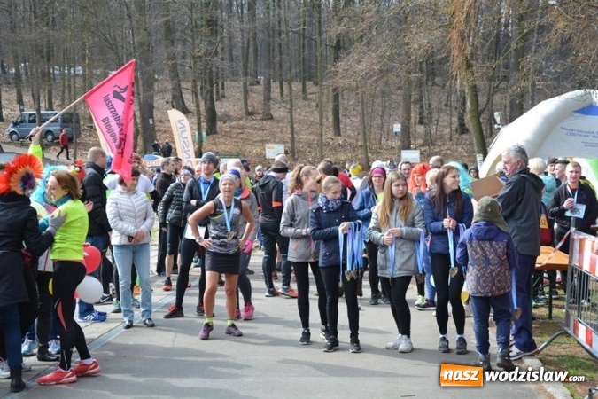 Zdjęcie w galerii na portalu naszwodzislaw.com: Błękitna Wstęga Balatonu. Wystartowało ponad 200 uczestników wiadomości z regionu