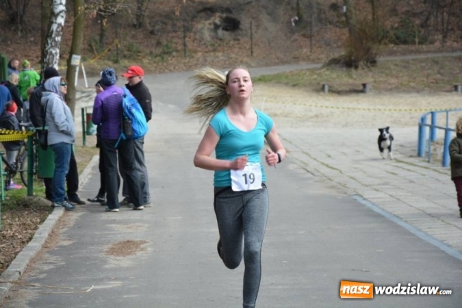 Zdjęcie w galerii na portalu naszwodzislaw.com: Błękitna Wstęga Balatonu. Wystartowało ponad 200 uczestników wiadomości z regionu
