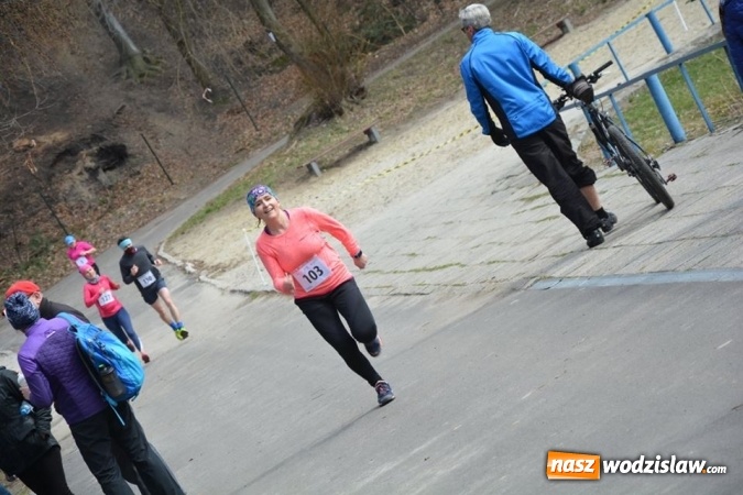 Zdjęcie w galerii na portalu naszwodzislaw.com: Błękitna Wstęga Balatonu. Wystartowało ponad 200 uczestników wiadomości z regionu