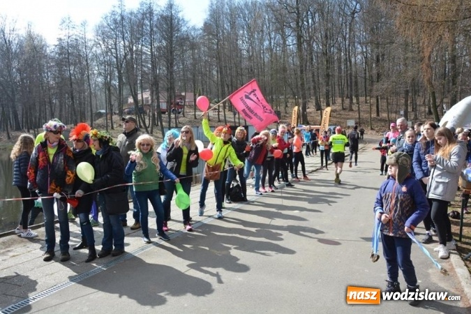 Zdjęcie w galerii na portalu naszwodzislaw.com: Błękitna Wstęga Balatonu. Wystartowało ponad 200 uczestników wiadomości z regionu