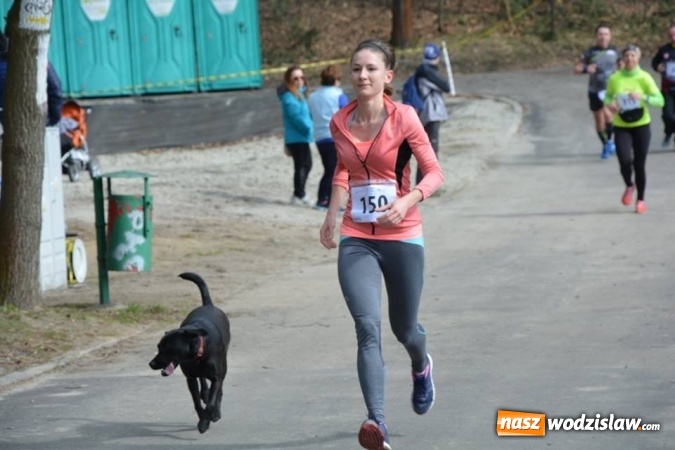 Zdjęcie w galerii na portalu naszwodzislaw.com: Błękitna Wstęga Balatonu. Wystartowało ponad 200 uczestników wiadomości z regionu