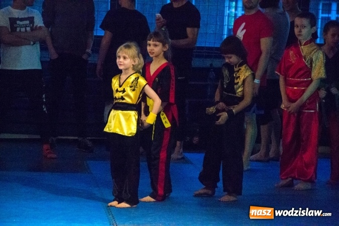 Zdjęcie w galerii na portalu naszwodzislaw.com: Drugi dzień Silesia Samurai za nami wiadomości z regionu