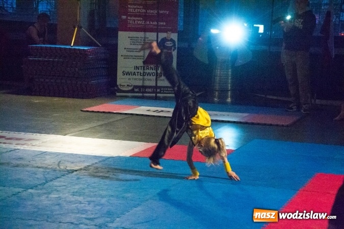 Zdjęcie w galerii na portalu naszwodzislaw.com: Drugi dzień Silesia Samurai za nami wiadomości z regionu