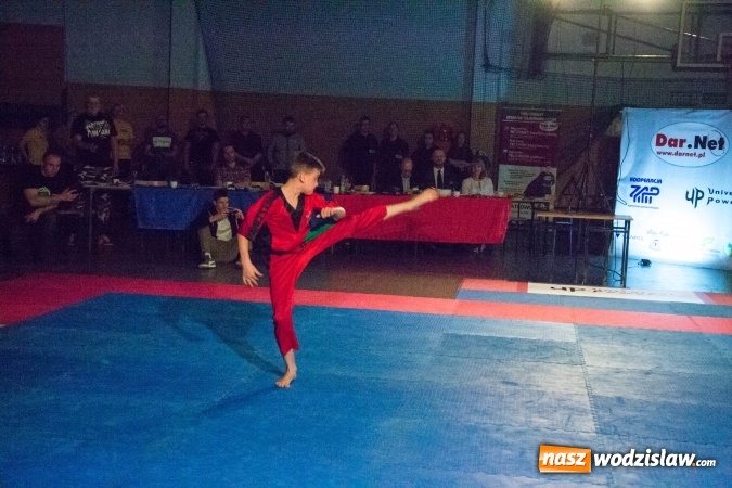 Zdjęcie w galerii na portalu naszwodzislaw.com: Drugi dzień Silesia Samurai za nami wiadomości z regionu