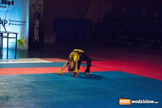 Zdjęcie w galerii na portalu naszwodzislaw.com: Drugi dzień Silesia Samurai za nami wiadomości z regionu