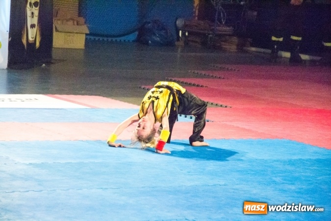 Zdjęcie w galerii na portalu naszwodzislaw.com: Drugi dzień Silesia Samurai za nami wiadomości z regionu