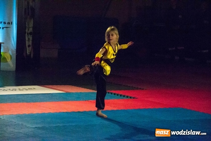 Zdjęcie w galerii na portalu naszwodzislaw.com: Drugi dzień Silesia Samurai za nami wiadomości z regionu