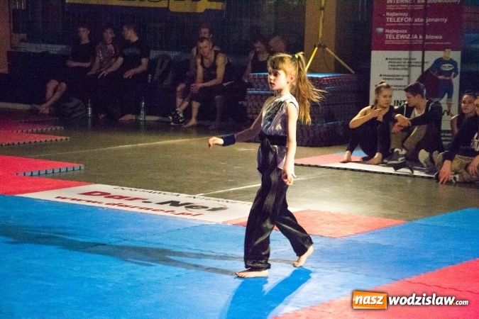 Zdjęcie w galerii na portalu naszwodzislaw.com: Drugi dzień Silesia Samurai za nami wiadomości z regionu