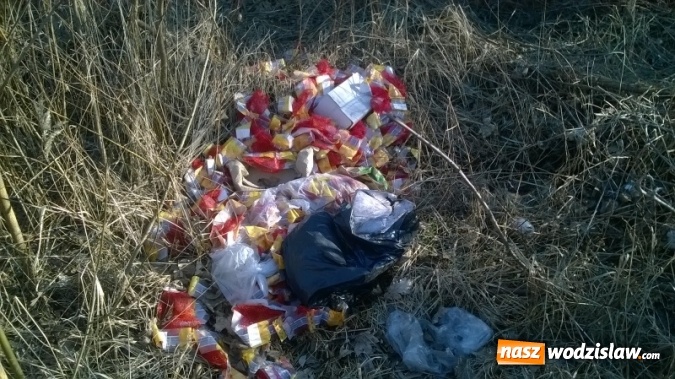Zdjęcie w galerii na portalu naszwodzislaw.com: Zaśmiecenie na ul. Witosa uprzątnięte wiadomości z regionu