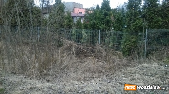 Zdjęcie w galerii na portalu naszwodzislaw.com: Zaśmiecenie na ul. Witosa uprzątnięte wiadomości z regionu