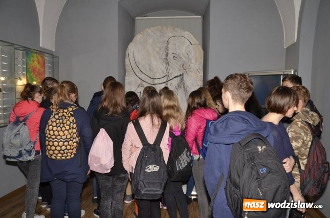 Zdjęcie w galerii na portalu naszwodzislaw.com: Cios mamuta powr&oacute;cił do Wodzisławia. Od czwartku w Muzeum wiadomości z regionu