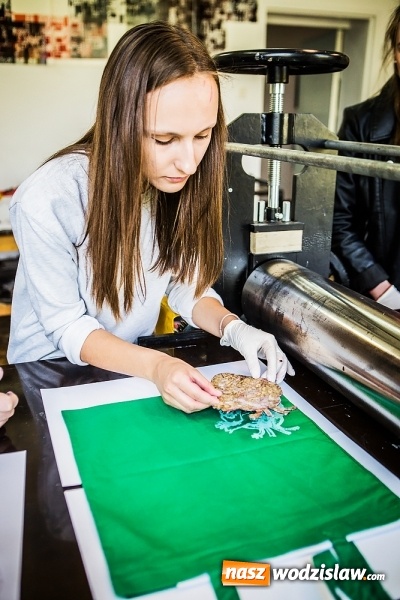 Zdjęcie w galerii na portalu naszwodzislaw.com: Warto studiować w Raciborzu, czyli Dzień Otwarty w PWSZ wiadomości z regionu