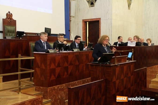 Zdjęcie w galerii na portalu naszwodzislaw.com: O planach żeglownego połączenia Dunaju, Odry i Łaby w sali Sejmu Śląskiego wiadomości z regionu