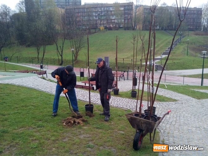 Zdjęcie w galerii na portalu naszwodzislaw.com: Nowe nasadzenia w Rodzinnym Parku Rozrywki wiadomości z regionu
